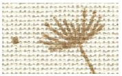 Brown/Potato / 38351459