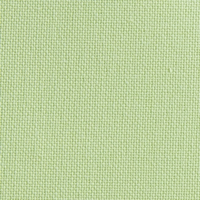 Lime / 12356122