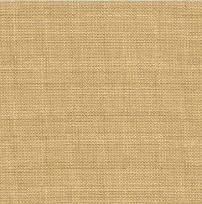 Safari / 32703040