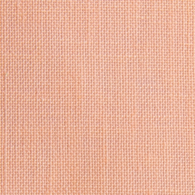 Pale Orange / 36094093
