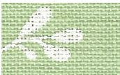 White/Green / 36096369
