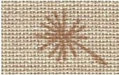 Brown/Sand / 39842429