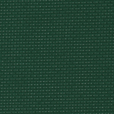 Forest Green / 1006647