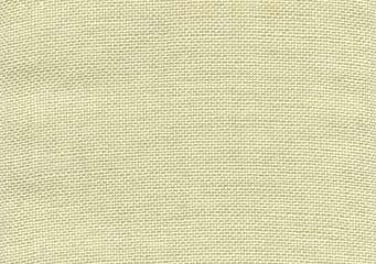 Simplicity - Celery / MH18471529