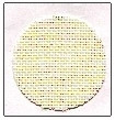 Ivory / 7622L