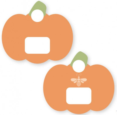 Pumpkin Floss Drops - Minder / SE843