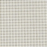 White / PP1