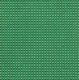 Holly Green / PP19