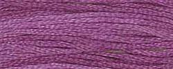 Grape Pie / CCT-016.