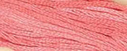 Ripe Melon / CCT-026.