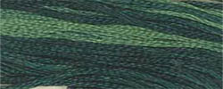 Spinach / CCT-029.