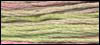 Cottage Garden / CCT-064.