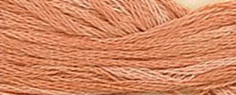 Sweet Potato / CCT-260.