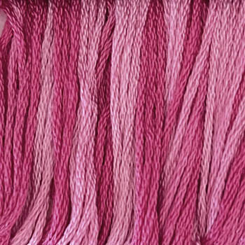 Priscilla's Peppermint / CCT-269.