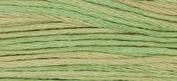 Butter Bean / W-040.