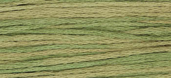 Kudzu / W-147.