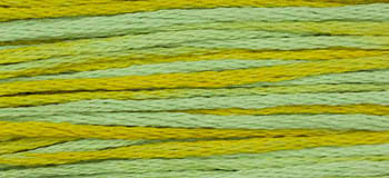 Pistachio / W-153.