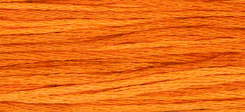 Pumpkin / W-167.