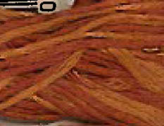 Cinnamon Twist / W-268.