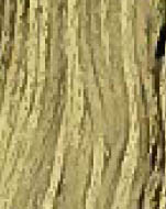 Broom Tree / W-325.