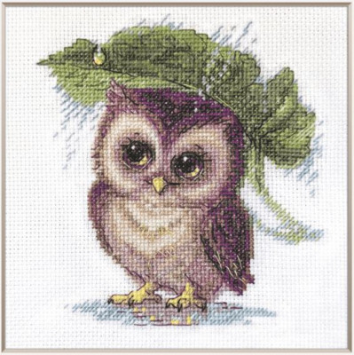 Raindrop Owl / RLA1023