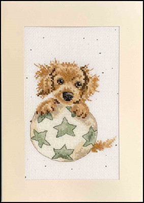 Bouncing Birthday - Wrendale Designs Greeting Cards 
 by Hannah Dale / BTXGC47