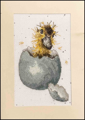Peek-a-boo - Wrendale Designs Greeting Cards 
 by Hannah Dale / BTXGC48