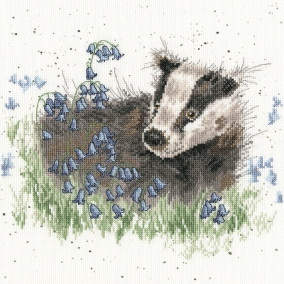 Bluebell Wood - Hannah Dale / BTXHD31
