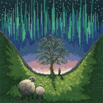 Sycamore Gap - Lucy Pittaway Collection / BTXLP13