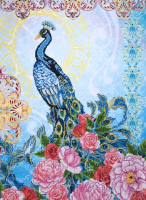 Exotic Peacock / NADD159