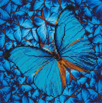Flutter by Blue / NADD514
