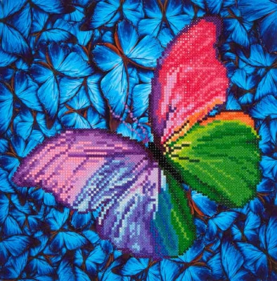 Flutter by Pink / NADD515