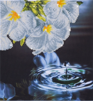 Water Droplets / NADD519