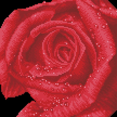 Rose Dew / NADD539