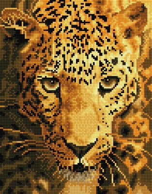 Jaguar Prowl / NADD65