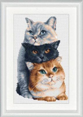 Three Cats / DSB12L