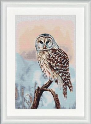 Owl / DSB14L