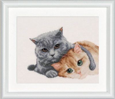 Cat Friends / DSB26A
