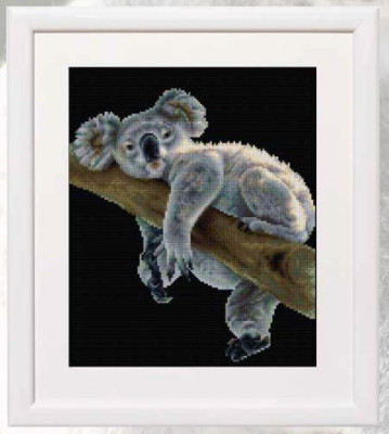 Koala / DSB48