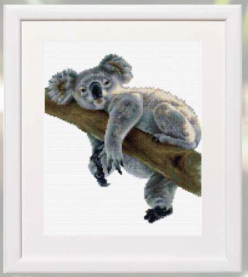 Koala / DSB49A