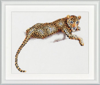 Safari Leopard / DSB4L