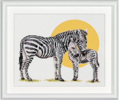 Safari Zebra / DSB6L