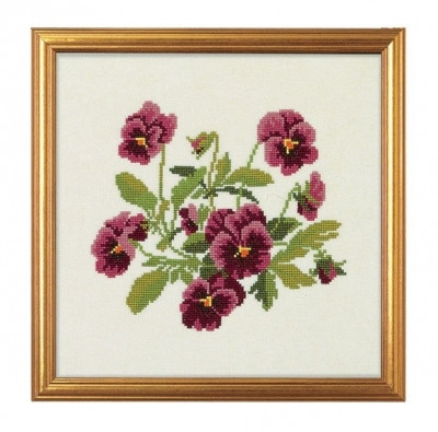 Pansy / 77084486 WI