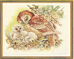 Mother Owl / 7712523 WI