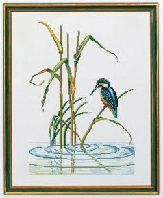 Kingfisher / 7712552 WI