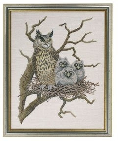 Owl & Babies / 7712648 WI