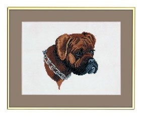 Boxer / 7712682 WI