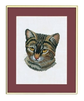 Cat / 7712714 WI