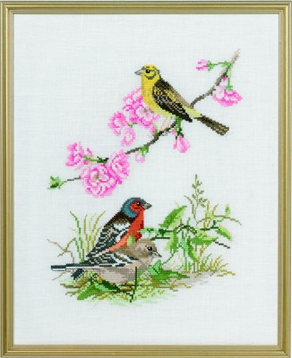 Birds / 7712735 WI