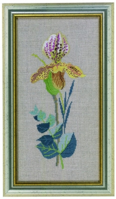 Yellow Orchids / 7714465 WI